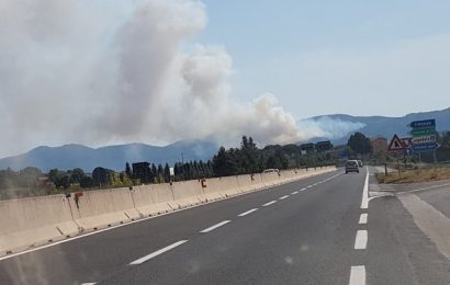 polveri fini. QUELLE DELLA PIANA, NON PREOCCUPANO NESSUNO