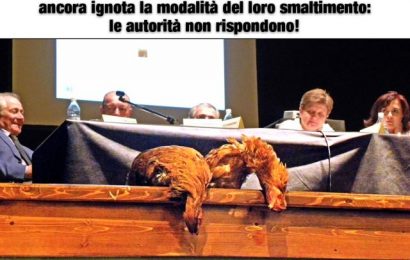 inceneritore. I POLLI INTOSSICATI E DIMENTICATI