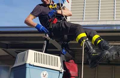 SALVATO MICIO IN DIFFICOLTÀ