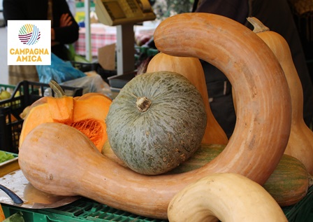 halloween. APPUNTAMENTO CON LE ZUCCHE, IL MAIS ED IL FORMAGGIO halloween. APPUNTAMENTO CON LE ZUCCHE, IL MAIS ED IL FORMAGGIO