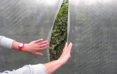 furti nei vivai. MIGLIAIA DI PIANTE ORNAMENTALI TRAFUGATE SOLO NEGLI ULTIMI GIORNI furti nei vivai. MIGLIAIA DI PIANTE ORNAMENTALI TRAFUGATE SOLO NEGLI ULTIMI GIORNI