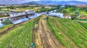 consorzio basso valdarno. IL PD DI PONTE: “GESTIONE INEFFICIENTE, MIOPE E ARROGANTE” consorzio basso valdarno. IL PD DI PONTE: “GESTIONE INEFFICIENTE, MIOPE E ARROGANTE”