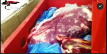 lamporecchio. CARNE AVARIATA, COMUNE NON INTERESSATO DALLA INDAGINE