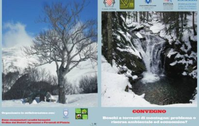 montagna. BOSCHI E TORRENTI: PROBLEMA O RISORSA? montagna. BOSCHI E TORRENTI: PROBLEMA O RISORSA?
