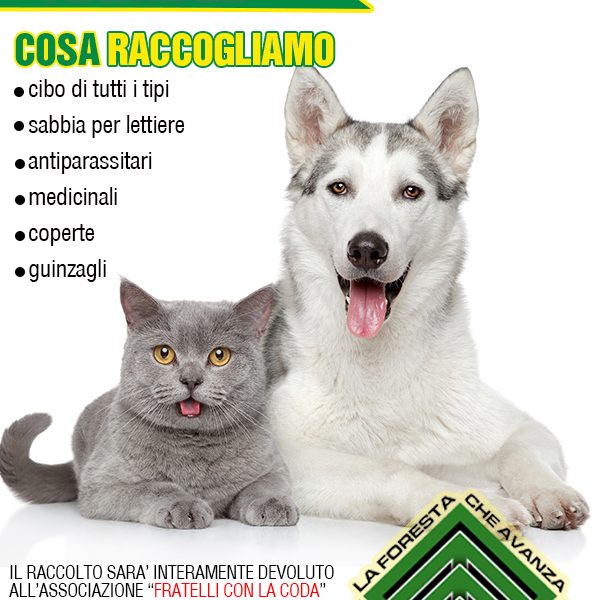 casapound. “LA FORESTA CHE AVANZA” RACCOGLIE AIUTI PER ANIMALI casapound. “LA FORESTA CHE AVANZA” RACCOGLIE AIUTI PER ANIMALI