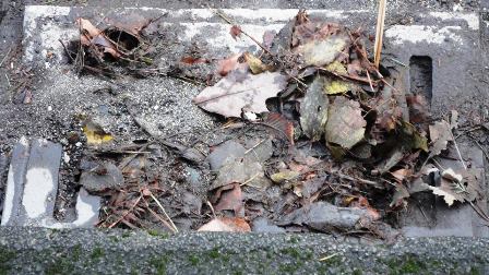 montecatini. CADITOIE OSTRUITE? UN PROBLEMA DA RISOLVERE montecatini. CADITOIE OSTRUITE? UN PROBLEMA DA RISOLVERE