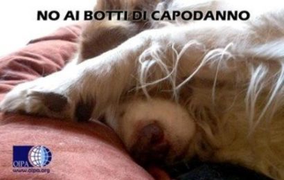 prato. PER CAPODANNO “BOTTI? NO GRAZIE!” prato. PER CAPODANNO “BOTTI? NO GRAZIE!”