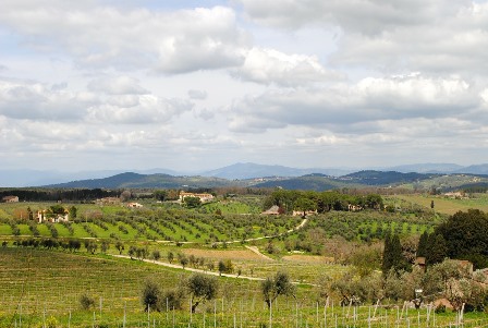 LA VACANZA IN AGRITURISMO PIACE. AUMENTANO LE PRENOTAZIONI DEL 20 PER CENTO