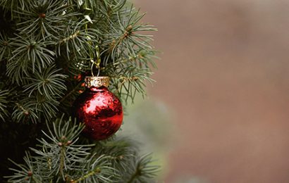 ECOCENTRI E CASSONETTI DESTINATI AI RIFIUTI ORGANICI. ECCO COME SI POSSONO SMALTIRE GLI ALBERI DI NATALE ECOCENTRI E CASSONETTI DESTINATI AI RIFIUTI ORGANICI. ECCO COME SI POSSONO SMALTIRE GLI ALBERI DI NATALE