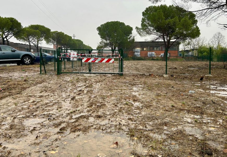 poggio. “LE BUGIE DI PALANDRI HANNO LE ZAMPE CORTE” poggio. “LE BUGIE DI PALANDRI HANNO LE ZAMPE CORTE”