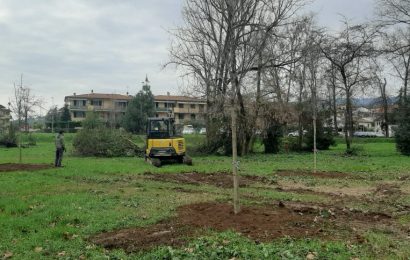 IN ARRIVO CENTO NUOVI ALBERI NEL PARCO “BOSCO DI CITTÀ” IN ARRIVO CENTO NUOVI ALBERI NEL PARCO “BOSCO DI CITTÀ”