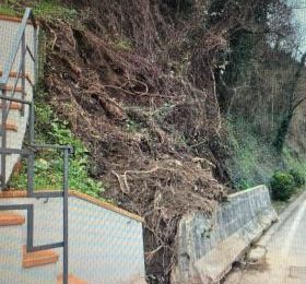 SR325: INTERVENTI DI SOMMA URGENZA PER LA MESSA IN SICUREZZA DEL VERSANTE DI MONTE SR325: INTERVENTI DI SOMMA URGENZA PER LA MESSA IN SICUREZZA DEL VERSANTE DI MONTE