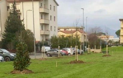 poggio. “FORESTAZIONE URBANA: DA PALANDRI NESSUN PUDORE” poggio. “FORESTAZIONE URBANA: DA PALANDRI NESSUN PUDORE”