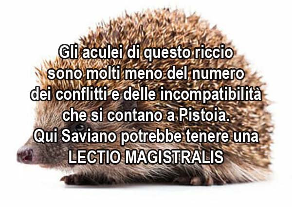 agliana da commissariare. LA PRESIDENTE DEL CON[S]IGLIO COMUNALE APRE UN’ATTIVITÀ COMMERCIALE SUL TERRITORIO, MA IL CONFLITTO DI INTERESSI DA NOI È SOLO UN OPTIONAL