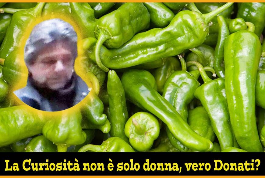 aspettando godot. FRA LA MUFFA E I FRIGGITELLI