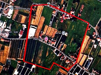 quarrata. SOSPETTO CASO DI DENGUE: ORDINANZA URGENTE E DISINFESTAZIONE PREVENTIVA TRA OLMI E VALENZATICO