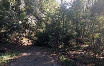 vaiano. MALTEMPO, CHIUSI ALCUNI TRATTI DELLE PISTE CICLOPEDONALI vaiano. MALTEMPO, CHIUSI ALCUNI TRATTI DELLE PISTE CICLOPEDONALI