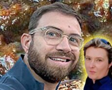 vilucchi&garante. ALTRA TEGOLA PER BENESPERI ESTIMATORE DELLA PECORA IN UMIDO?