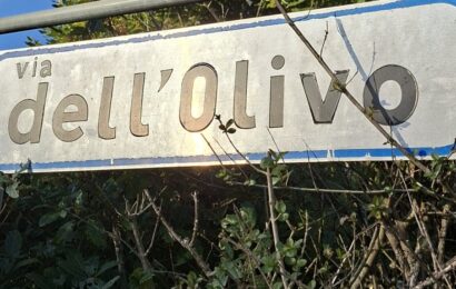 poggio. VIA DELL’OLIVO VERSO LA PRIVATIZZAZIONE, IL PD. “NO ALLA CESSIONE DI UN BENE PUBBLICO” poggio. VIA DELL’OLIVO VERSO LA PRIVATIZZAZIONE, IL PD. “NO ALLA CESSIONE DI UN BENE PUBBLICO”