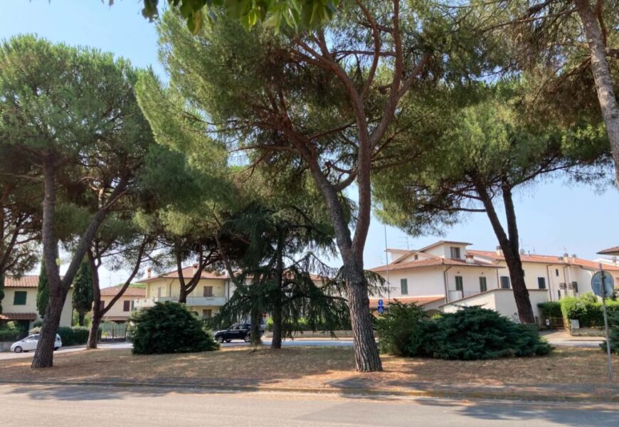 poggio a caiano. LA ROTATORIA DI VIA ALDO MORO SI RIFÀ IL LOOK: BORGI STRADE ADOTTERÀ E CURERÀ L’AREA VERDE poggio a caiano. LA ROTATORIA DI VIA ALDO MORO SI RIFÀ IL LOOK: BORGI STRADE ADOTTERÀ E CURERÀ L’AREA VERDE