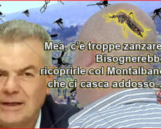 tacci tua. SE IN CASA TU VUOI LO SCOMPIGLIO, DONNA DI CASALE E “ZANZARA” DI CAMPIGLIO tacci tua. SE IN CASA TU VUOI LO SCOMPIGLIO, DONNA DI CASALE E “ZANZARA” DI CAMPIGLIO